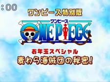 one-piece-new-year-s-special-the-secret-of-the-straw-hat-pirates