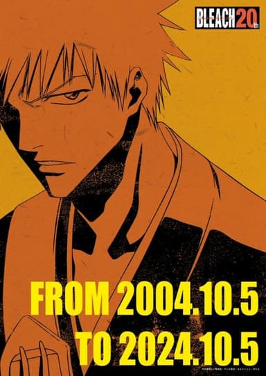 Bleach 20th Anime Anniversary